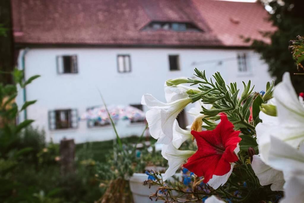 Enjoy Cozy Romance Hills Forest Gardens Views Sauna Whirlpool Bath Jablonné v Podještědí Exterior foto